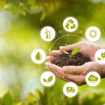 How Dr. Mercola Encourages Sustainable Wellness Habits for Everyone