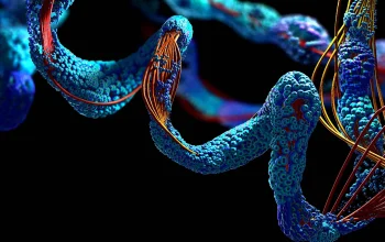 Rising Peptide for Healing Discussions Focus on Realistic Recovery Expectations