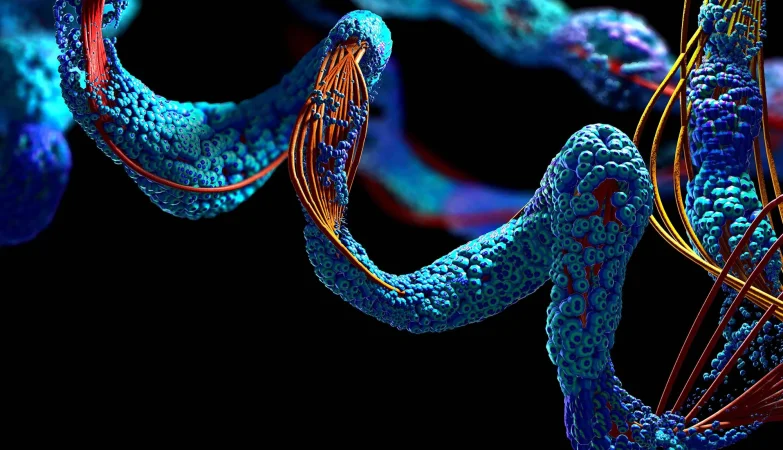 Rising Peptide for Healing Discussions Focus on Realistic Recovery Expectations