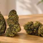 THCA Flower Strength Comparisons For Beginners And Experienced Consumers